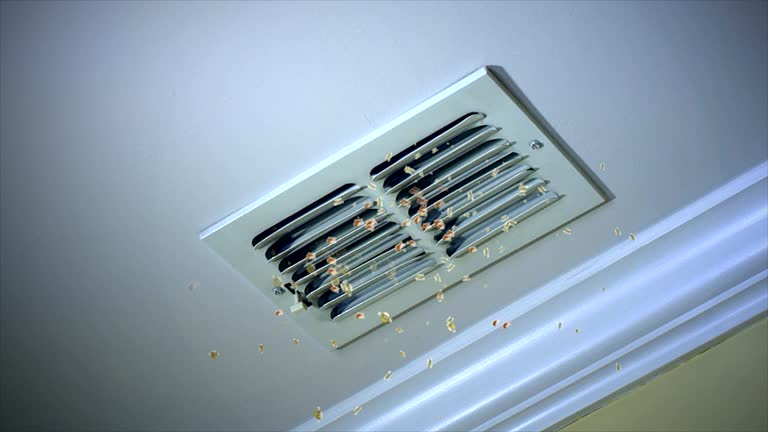 Best Air Duct Inspection  in Innsbrook, VA
